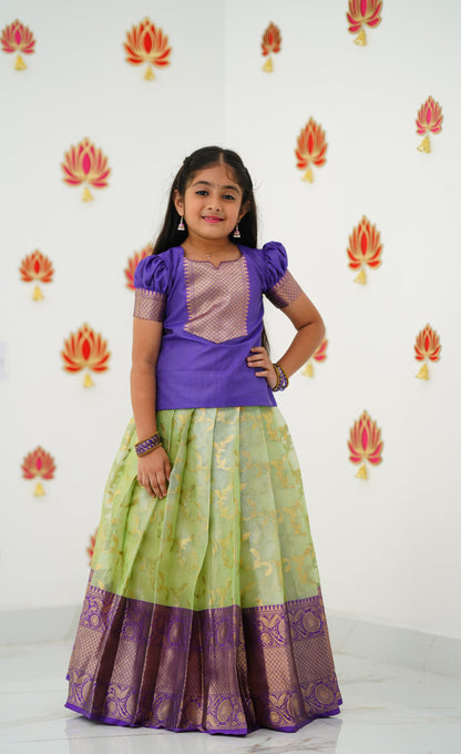 Organza Pavadai Sattai - Pastel Green and Purple