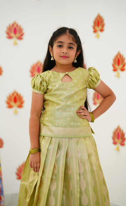 Organza Pavadai Sattai - Pastel Green and Pista Green