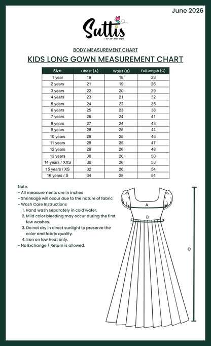 Maya - Dark Wine Organza Long Gown