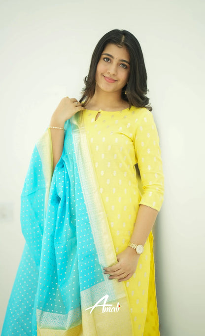 Bavana Chanderi Silk Cotton Salwar - Yellow Salwar