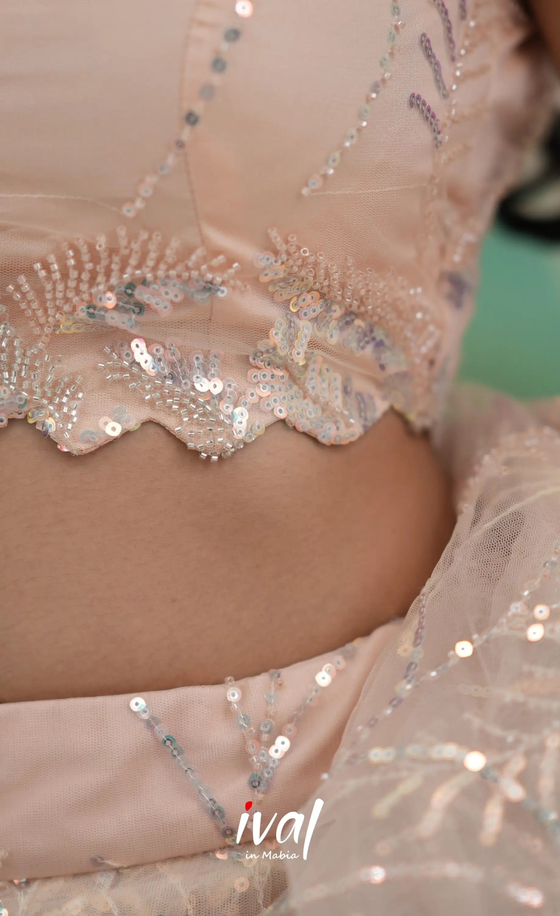 Coral - Light Peach Net Lehenga crop top and skirts