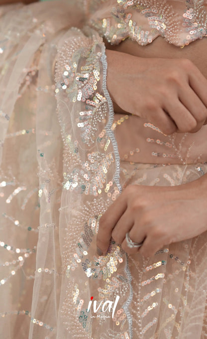 Coral - Light Peach Net Lehenga crop top and skirts