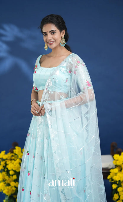 Coral Pastel Blue Net Lehenga crop top and skirts