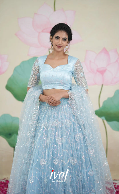 Coral - Pastel Blue Net Lehenga crop top and skirts