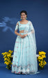 Coral Pastel Blue Net Lehenga crop top and skirts