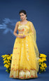 Coral Yellow Net Lehenga crop top and skirts
