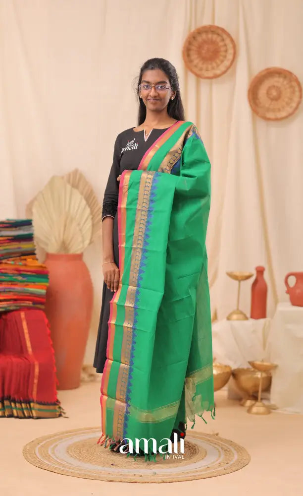 Green Stripes With Multicolours Chettinad Cotton Dupatta salwar