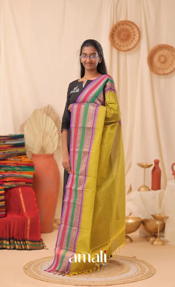 Light Henna Green With Multicolours Chettinad Cotton Dupatta salwar