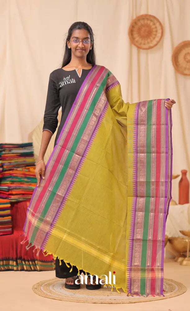 Light Henna Green With Multicolours Chettinad Cotton Dupatta salwar
