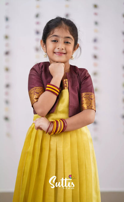 Maya Yellowish Green Shade And Brownish Maroon Tone Organza Gown Kids-Suttis