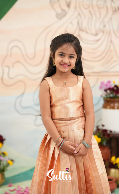 Organza Crop Top and Skirt - Peach and Light blue - Kids-Suttis