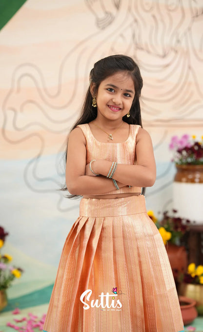 Organza Crop Top and Skirt - Peach and Light blue - Kids-Suttis