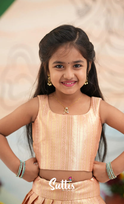 Organza Crop Top and Skirt - Peach and Light blue - Kids-Suttis
