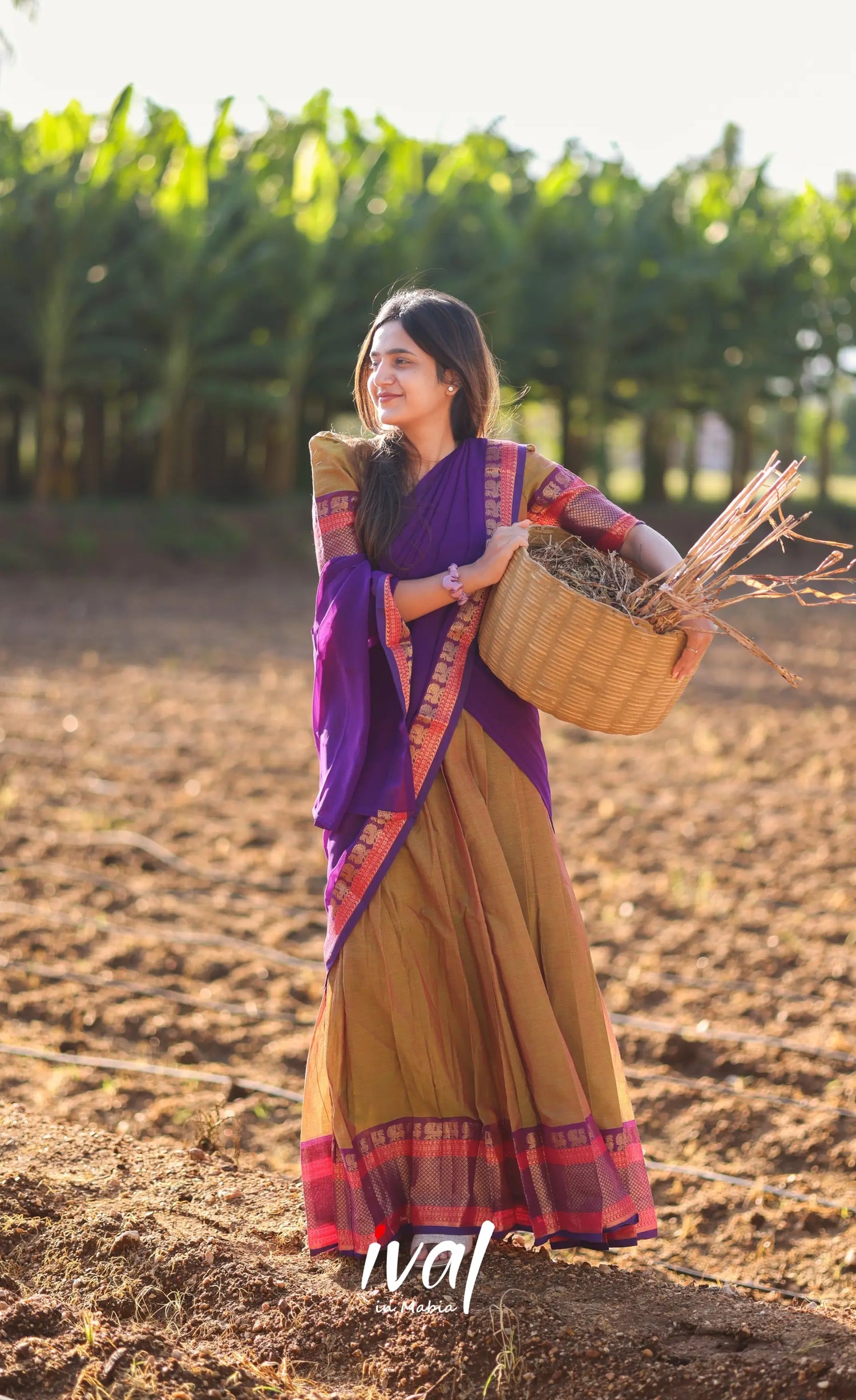 Sayuri Silk Cotton Half Saree - Light Brown And Purple Sarees