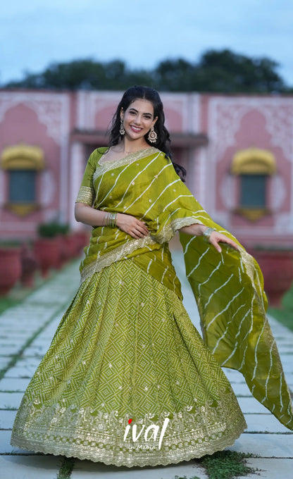 Tulip Gaji Silk Half saree - Olive Green Half Sarees