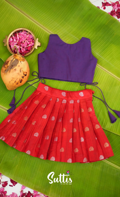 Zara - Purple and Red Crop Top and Skirt - Kids-Suttis