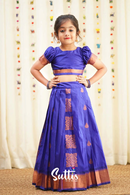 Zara - Violet Blue Semi Silk Crop Top And Skirt Kids-Suttis